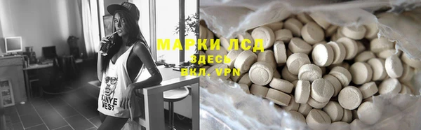 ПСИЛОЦИБИНОВЫЕ ГРИБЫ Баксан